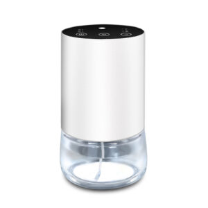 Car diffuser