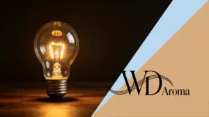 Resumen de las tendencias del mercado de los difusores de aromas