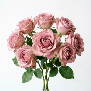 Hidrosol de rosa