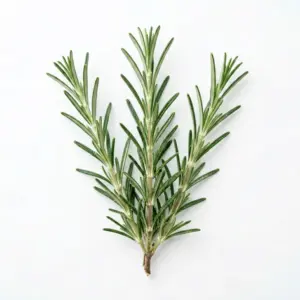 Aceite de romero