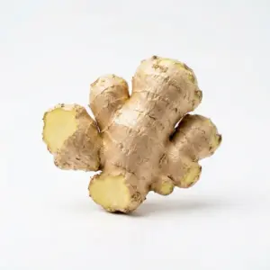 Extracción de aceite de jengibre