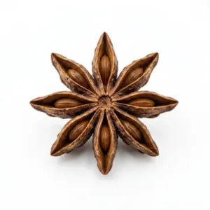 Aceite de anís estrellado