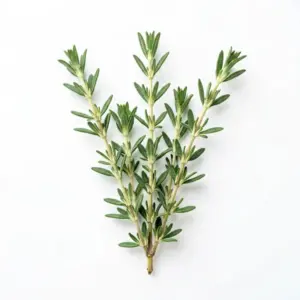 Aceite de tomillo