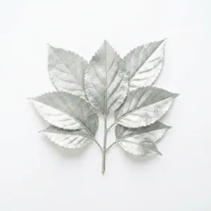 Aceite de salvia sclarea
