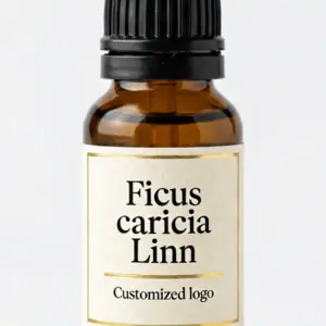 Ficus carica Linn Fragrance Oil