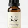 Mint Ocean fragrance oil for diffusers - WD Aroma wholesale