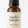 Angelica Sinensis fragrance oil for diffusers - WD Aroma wholesale