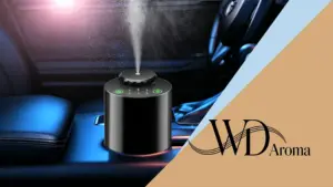 best car diffuser for wholesale cover