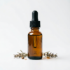 Rose sparkling wine fragrance oil for diffusers - WD Aroma wholesale