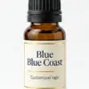 Wholesale Blue Coast Fragrance Oil Amber Glass Bottle Custom Logo - WD Aroma