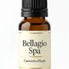 Bellagio Spa fragrance oil for diffusers - WD Aroma wholesale