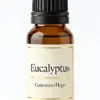 Aceite esencial de eucalipto para difusores - WD Aroma al por mayor