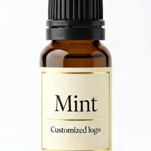 Mint fragrance oil for diffusers - WD Aroma wholesale