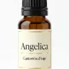 Angelica fragrance oil for diffusers - WD Aroma wholesale