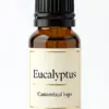 Eucalyptus fragrance oil for diffusers - WD Aroma wholesale
