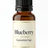 Blueberry fragrance oil for diffusers - WD Aroma wholesale