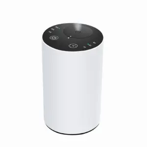 White 2441 rechargeable portable waterless essential oil diffuser shell, wholesale OEM custom logo